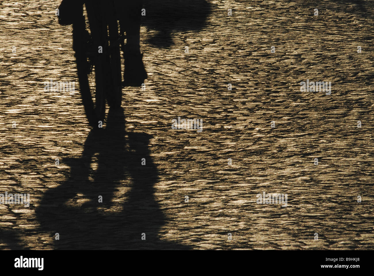 Shadow of a cyclist on cobbled street Stock Photo