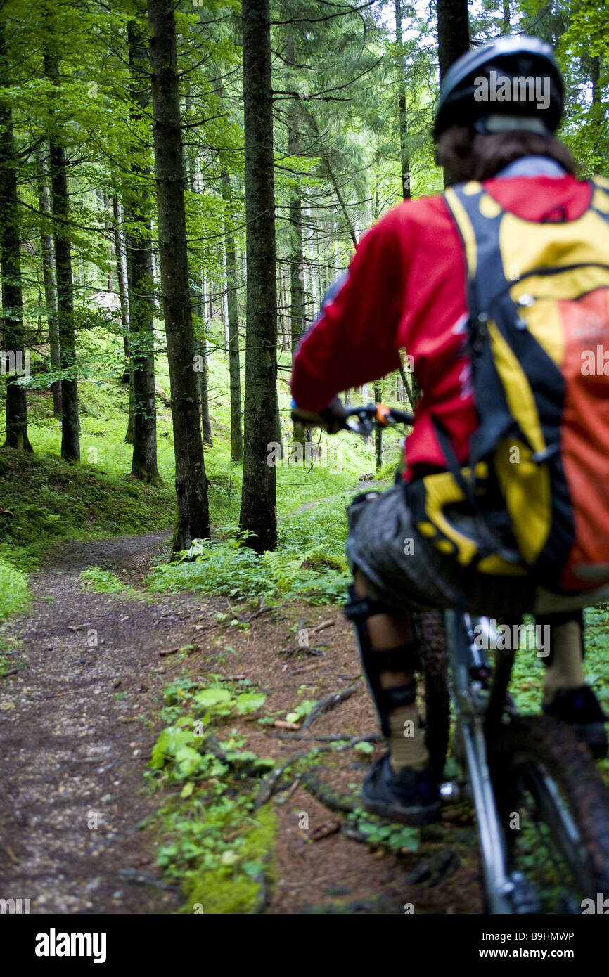 mountainbike man forest back view mountainbiker sport athletes extreme