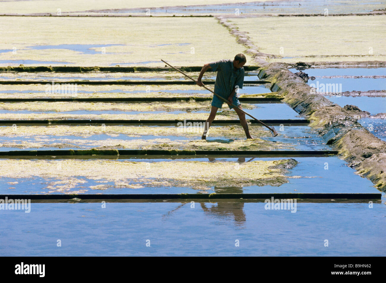 Salt flats portugal hi-res stock photography and images - Alamy