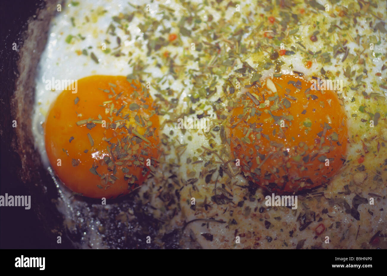 Griddle fried eggs detail food preparation food Eierspeise eggs oath