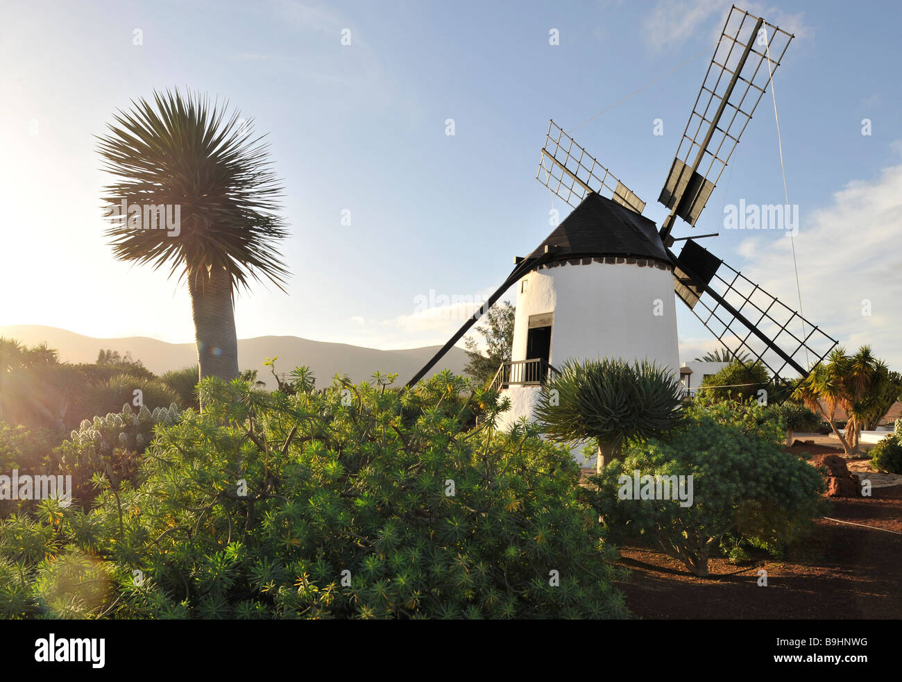 El Molino, windmill near Antigua on Fuerteventura, Canary Islands, Spain, Europe Stock Photo