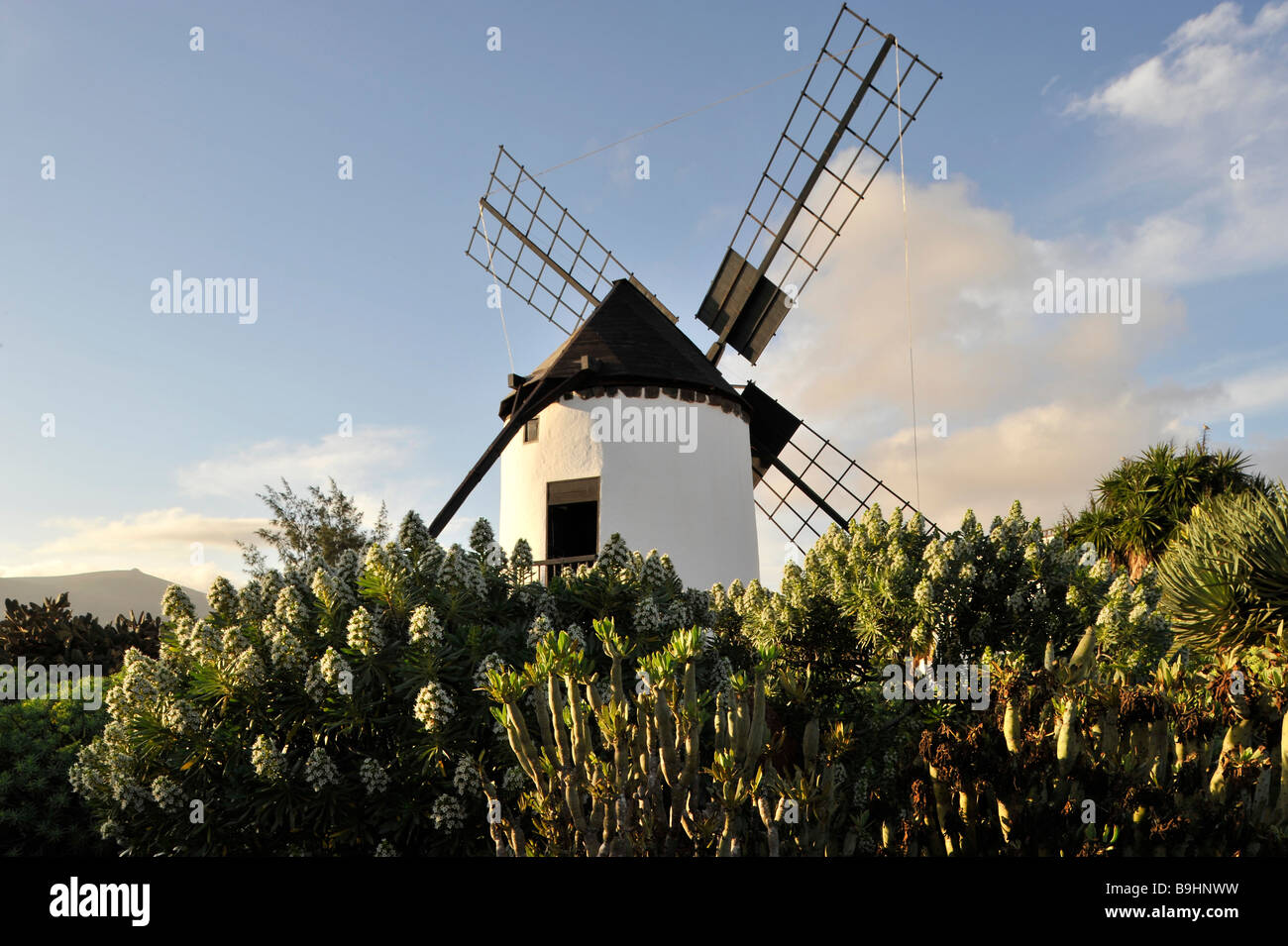 El Molino, windmill, near Antigua on Fuerteventura, Canary Islands, Spain, Europe Stock Photo
