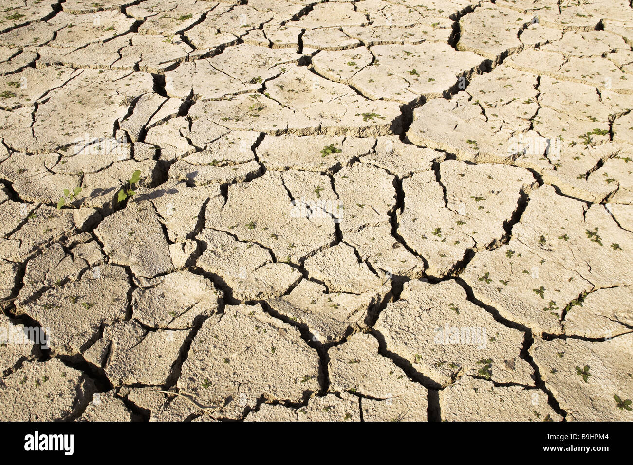 Rips pattern hi-res stock photography and images - Alamy