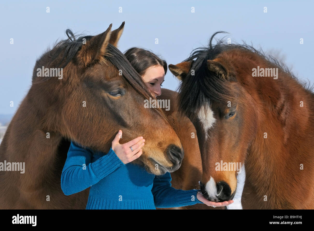Young woman and a Paso Fino horses Stock Photo