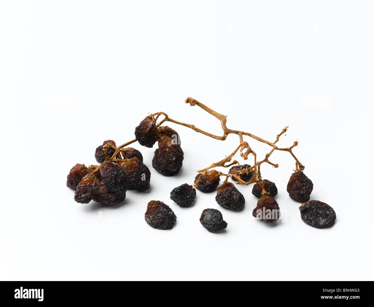 raisins.grapes.dried.vine.gardening.wine.sultanas.dried grapes Stock Photo