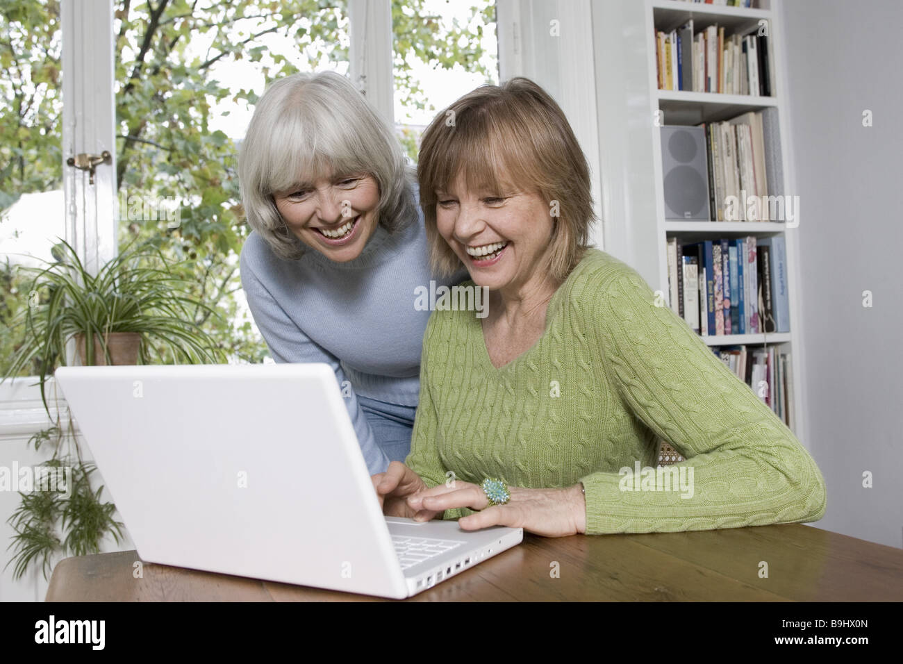 Seniors laptop data input laughs detail series people seniors women two cheerfully computers data processing internet surf the Stock Photo