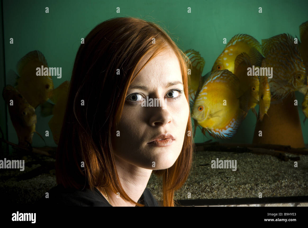 Woman young seriously portrait aquarium fish long-haired discus-fish expression sorrowfully unfortunately secluded loneliness Stock Photo