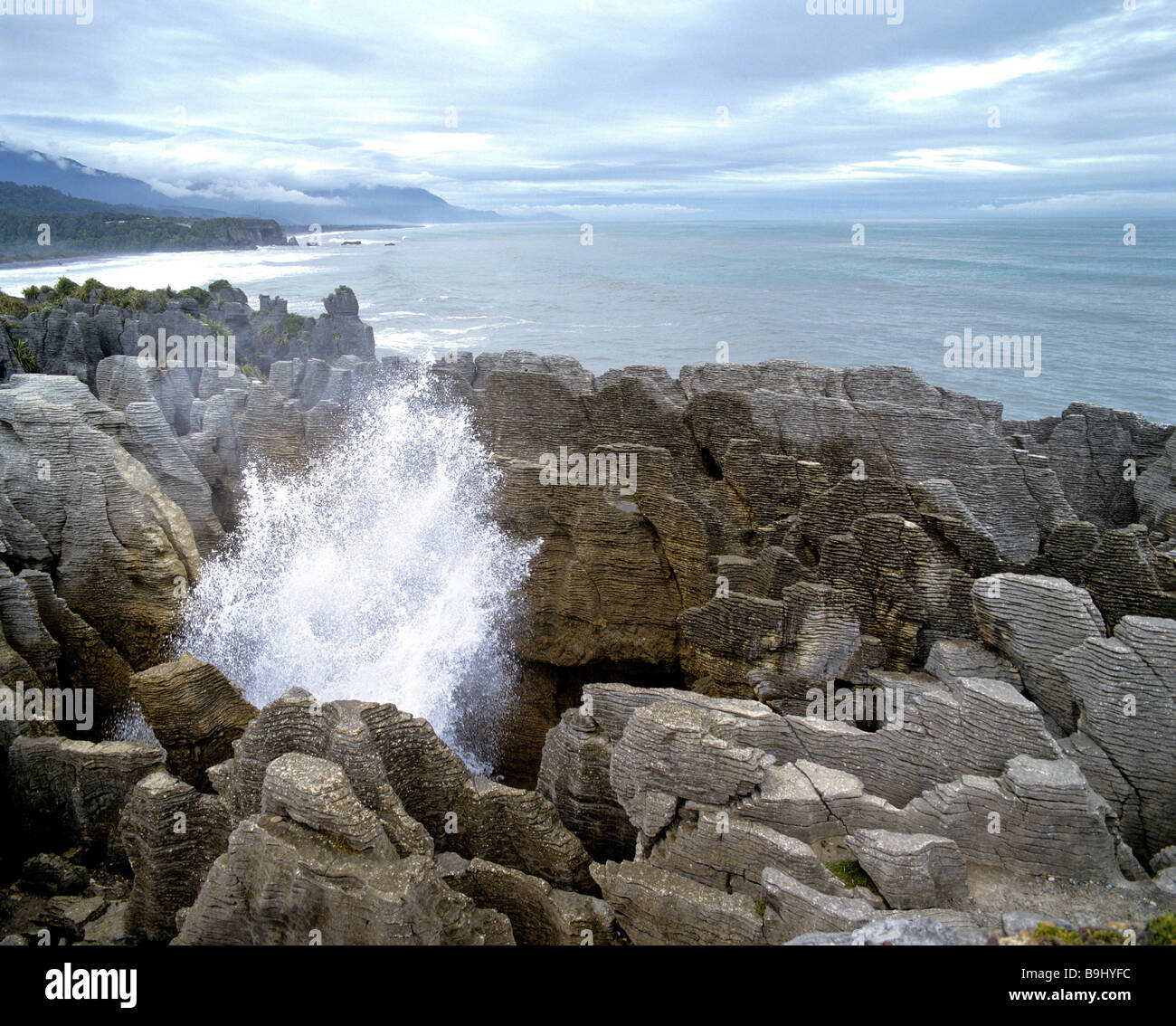 Blowhole, Pancake Rocks, Paparoa National Park, Punakaiki, South Island, New Zealand Stock Photo