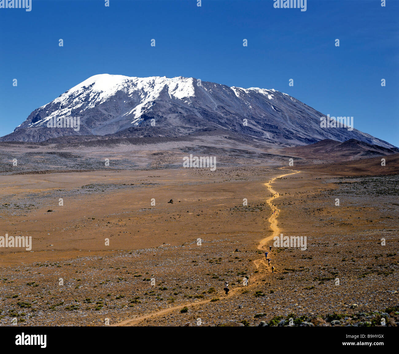 Path to Mount Kilimanjaro, Kilimanjaro National Park, UNESCO World Heritage Site, stratovolcano, Tanzania, East Africa Stock Photo