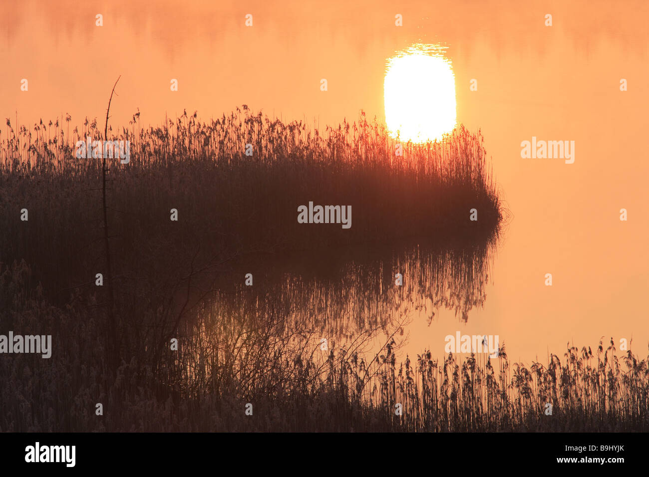Reflection of the sun in water hi-res stock photography and images - Alamy