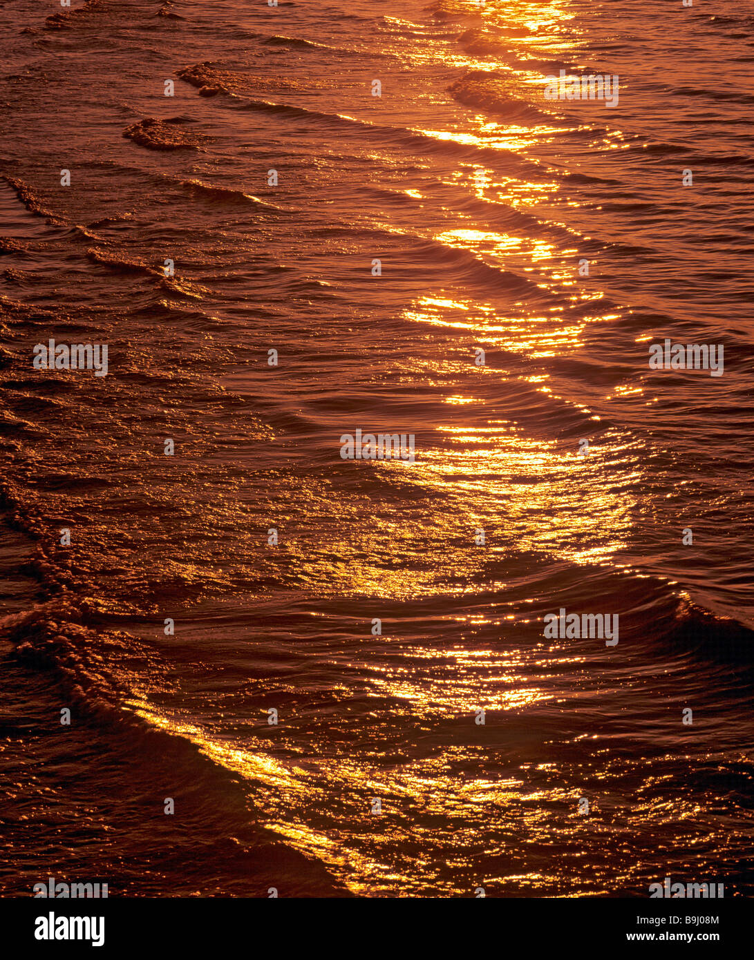 Golden light reflected in water, sunset Stock Photo