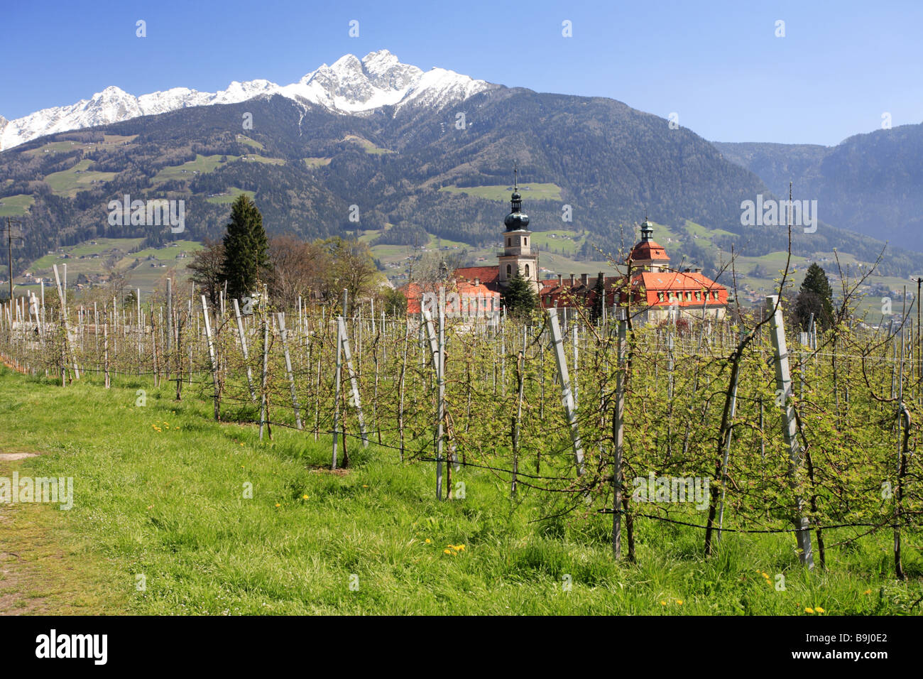 Italy South-Tyrol palace Auer orchard spring Stock Photo