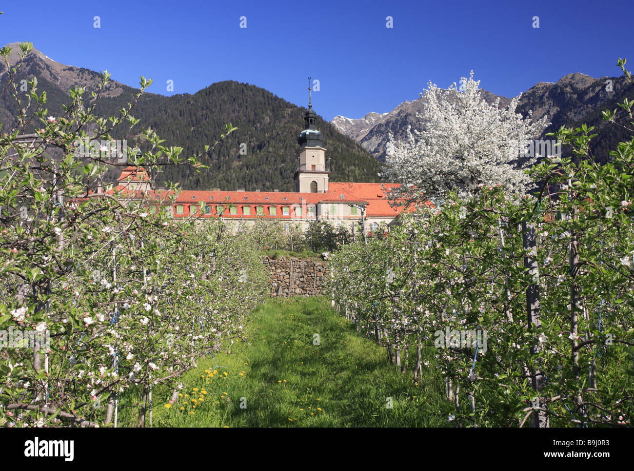 Italy South-Tyrol palace Auer orchard spring Stock Photo