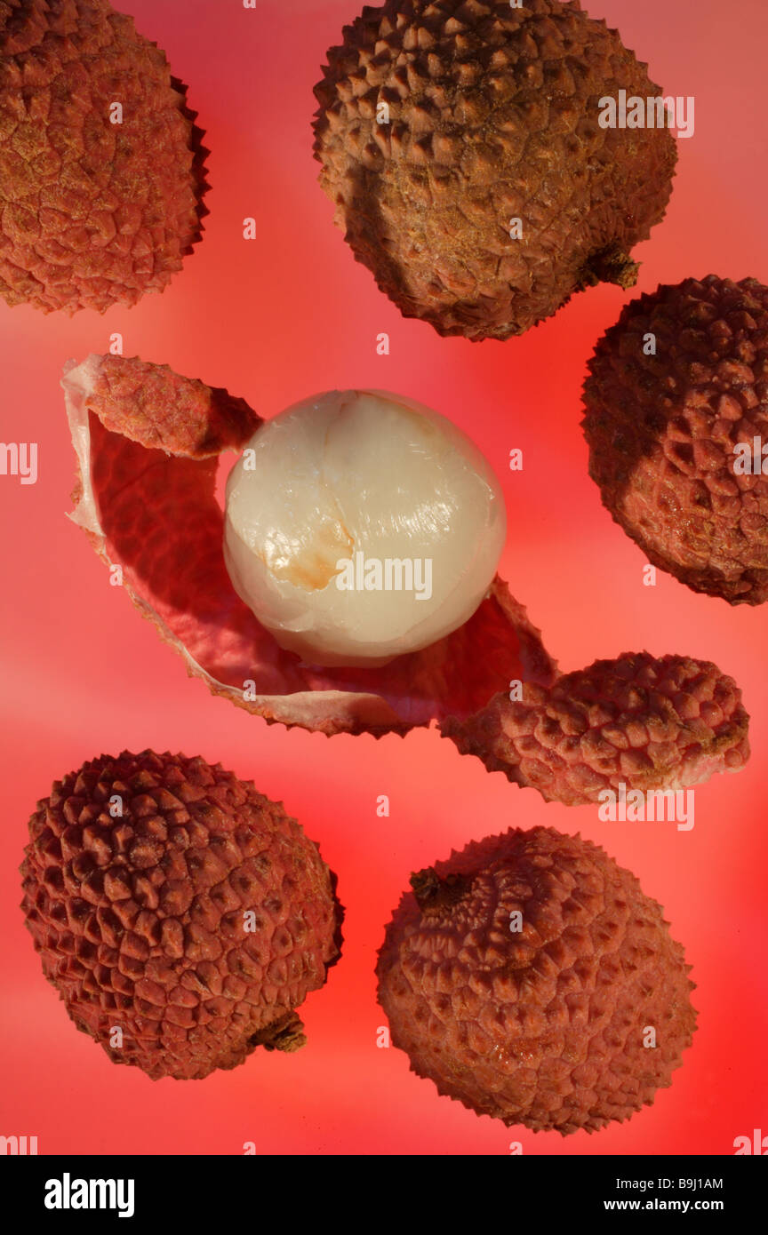 Lychees Litchi Chinensis Stock Photo Alamy