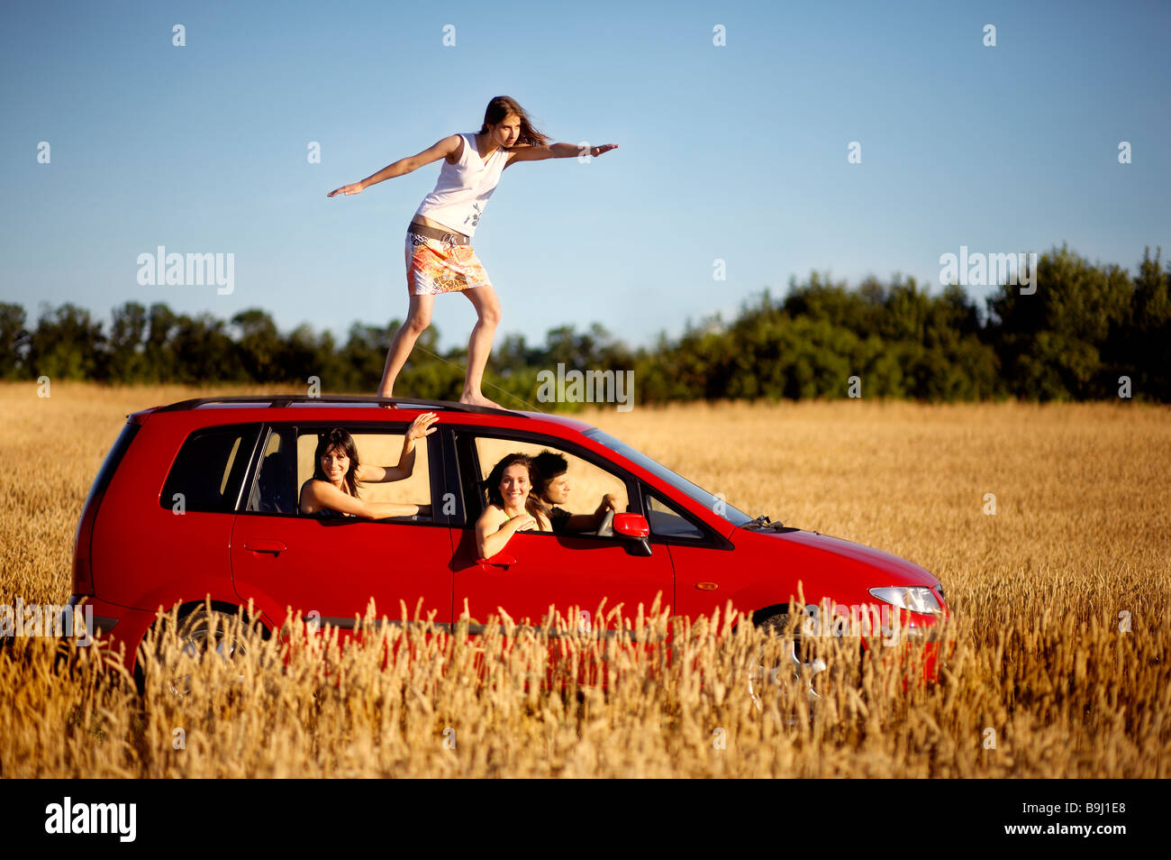 Red car on a wheat fields Stock Photo Alamy