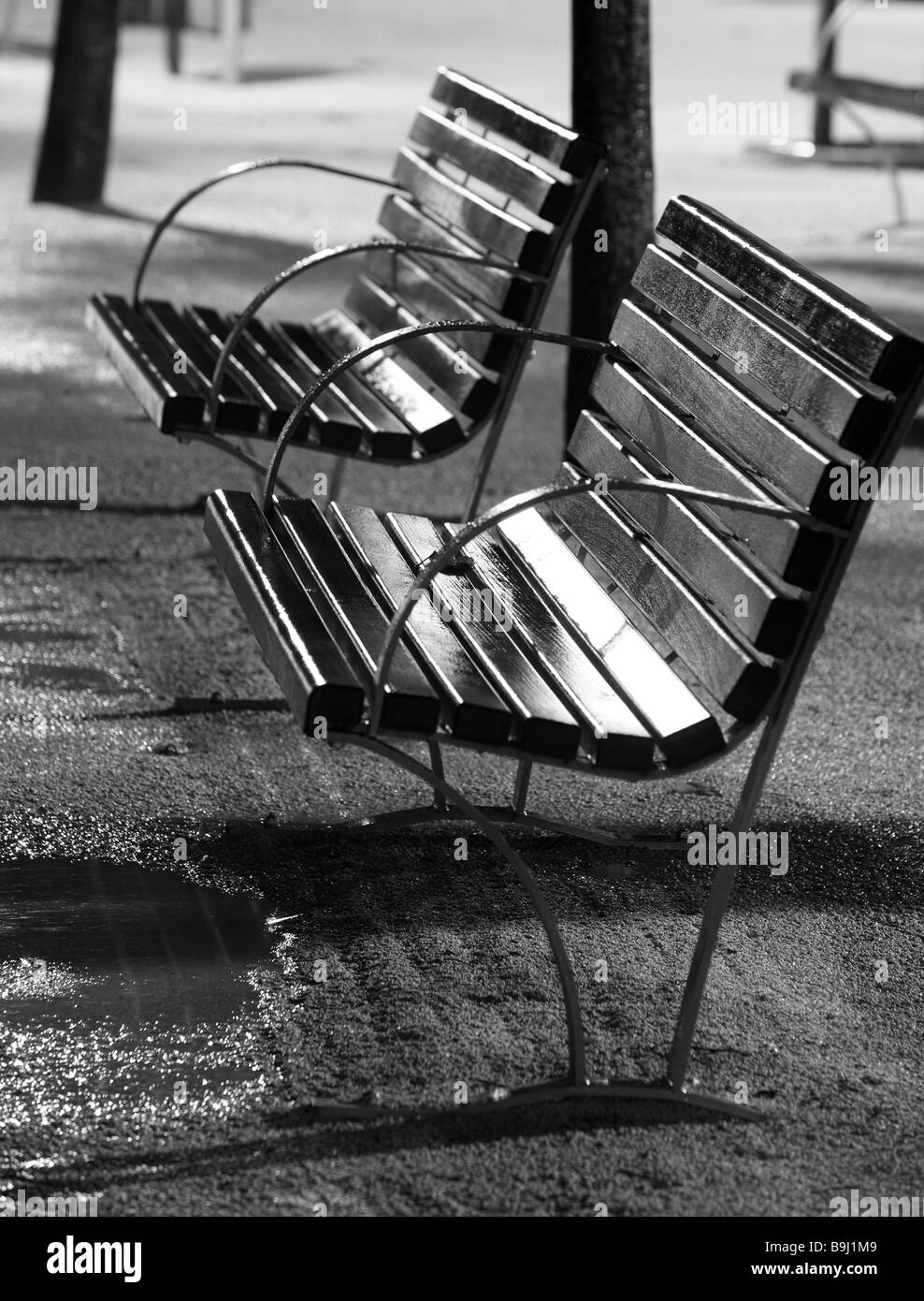 Park-benches wet evening s/w park park seat-benches seats rainy weather rain bad weathers leaves deserted darkness  evening Stock Photo