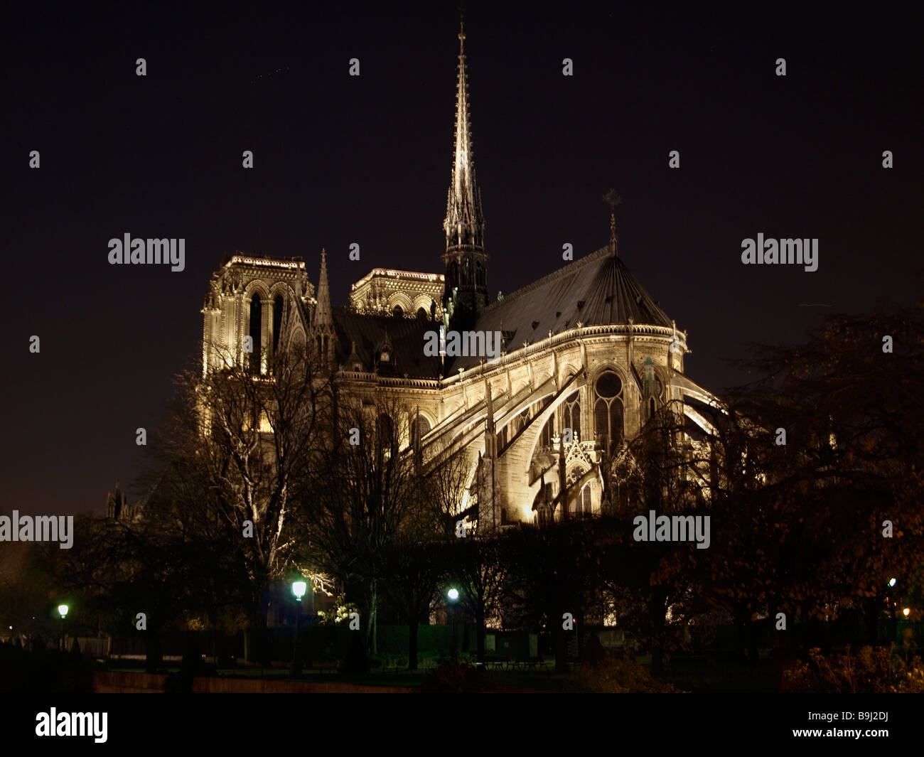 Notre Dame de Paris Cathedral at night, Paris, France, Europe Stock Photo