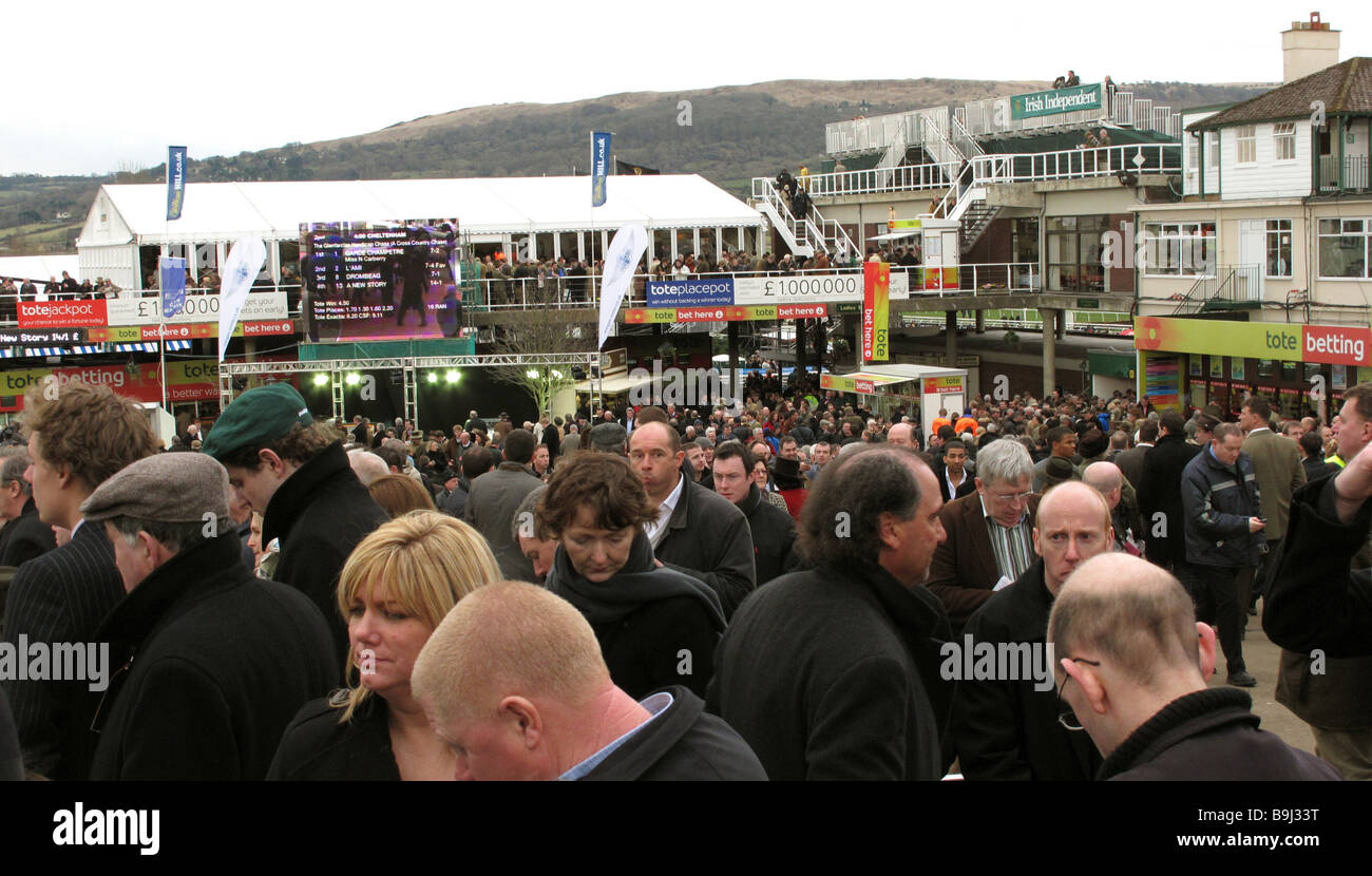 Cheltenham Gloucestershire England GB UK 2009 Stock Photo