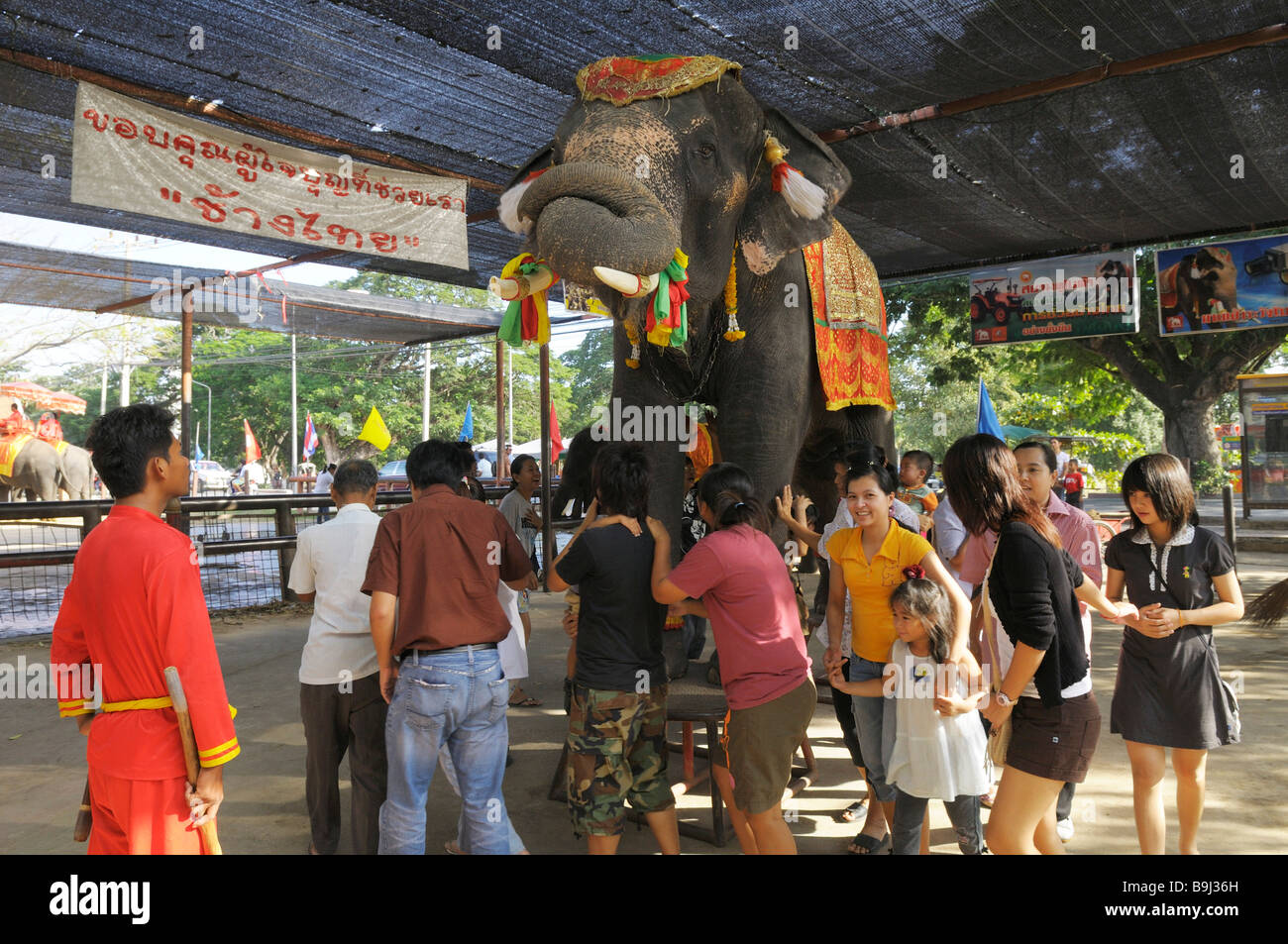 Thai tourists walking under an elephant for luck, elephant show in the