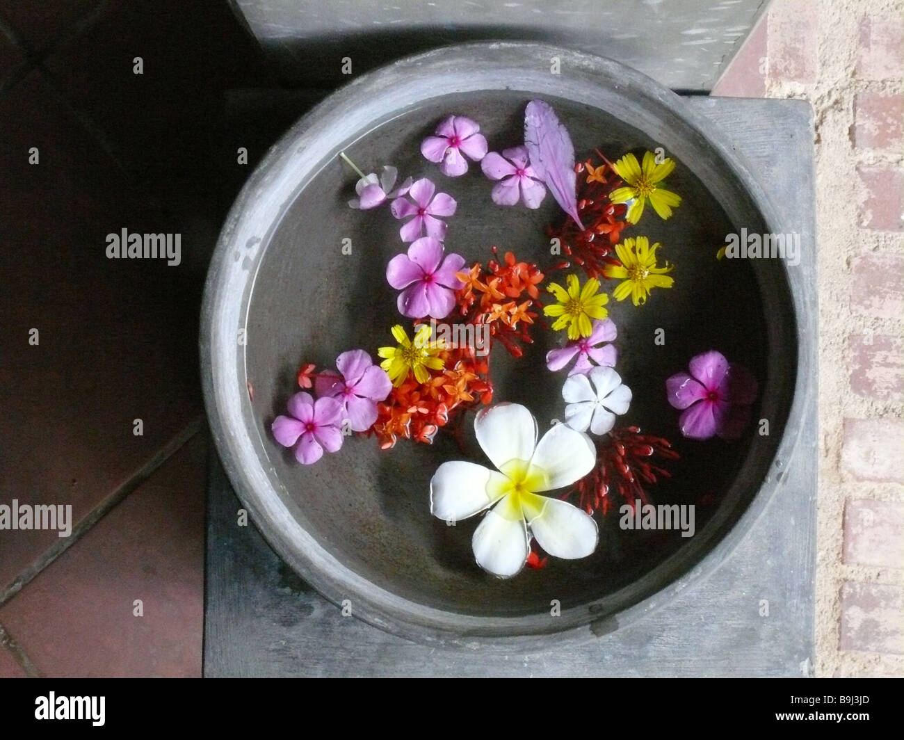 Ayurveda peel templebloom vessel water watersurface Frangipani temple