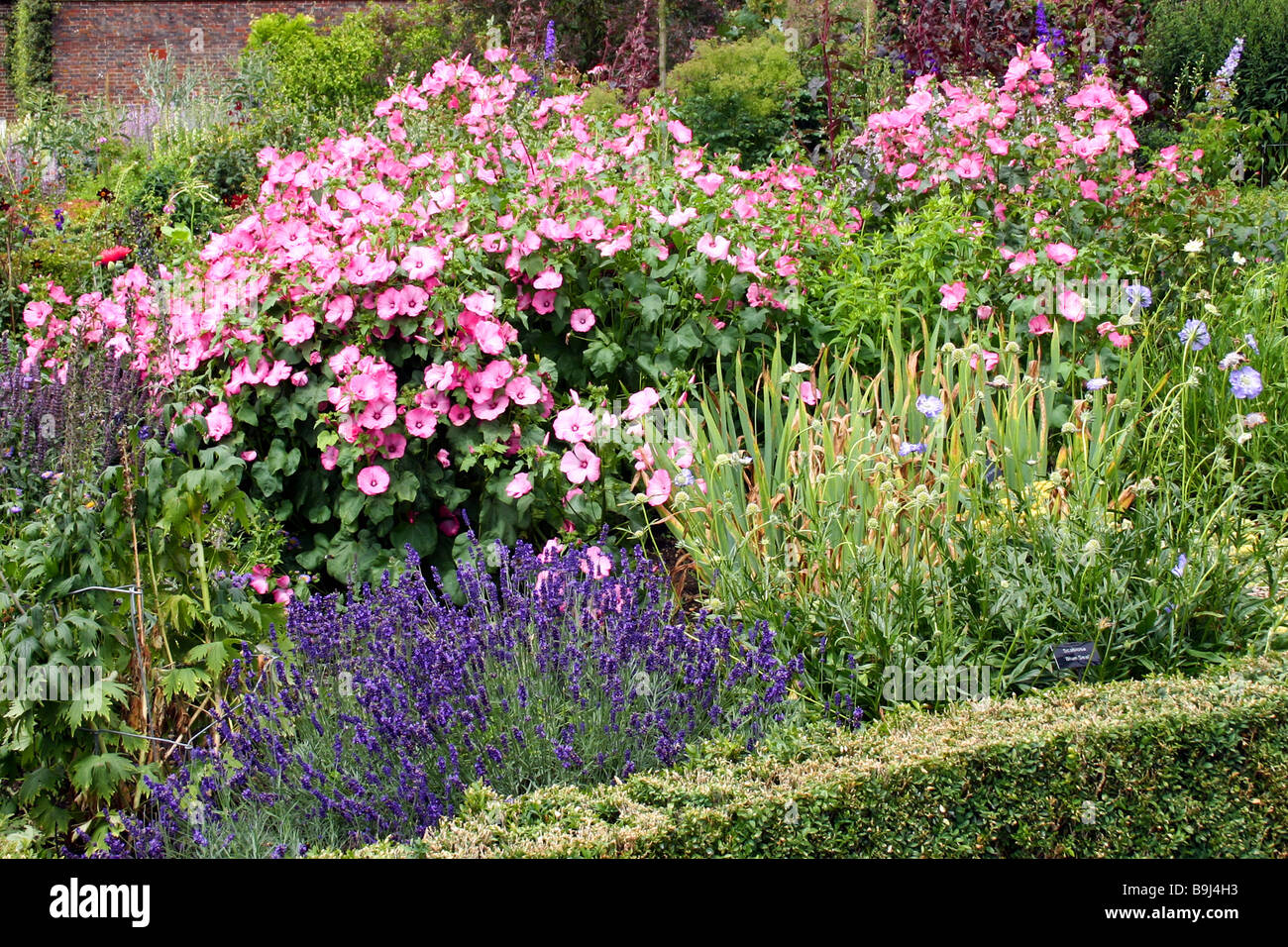 Display of assorted flowers in an english country garden Stock Photo ...