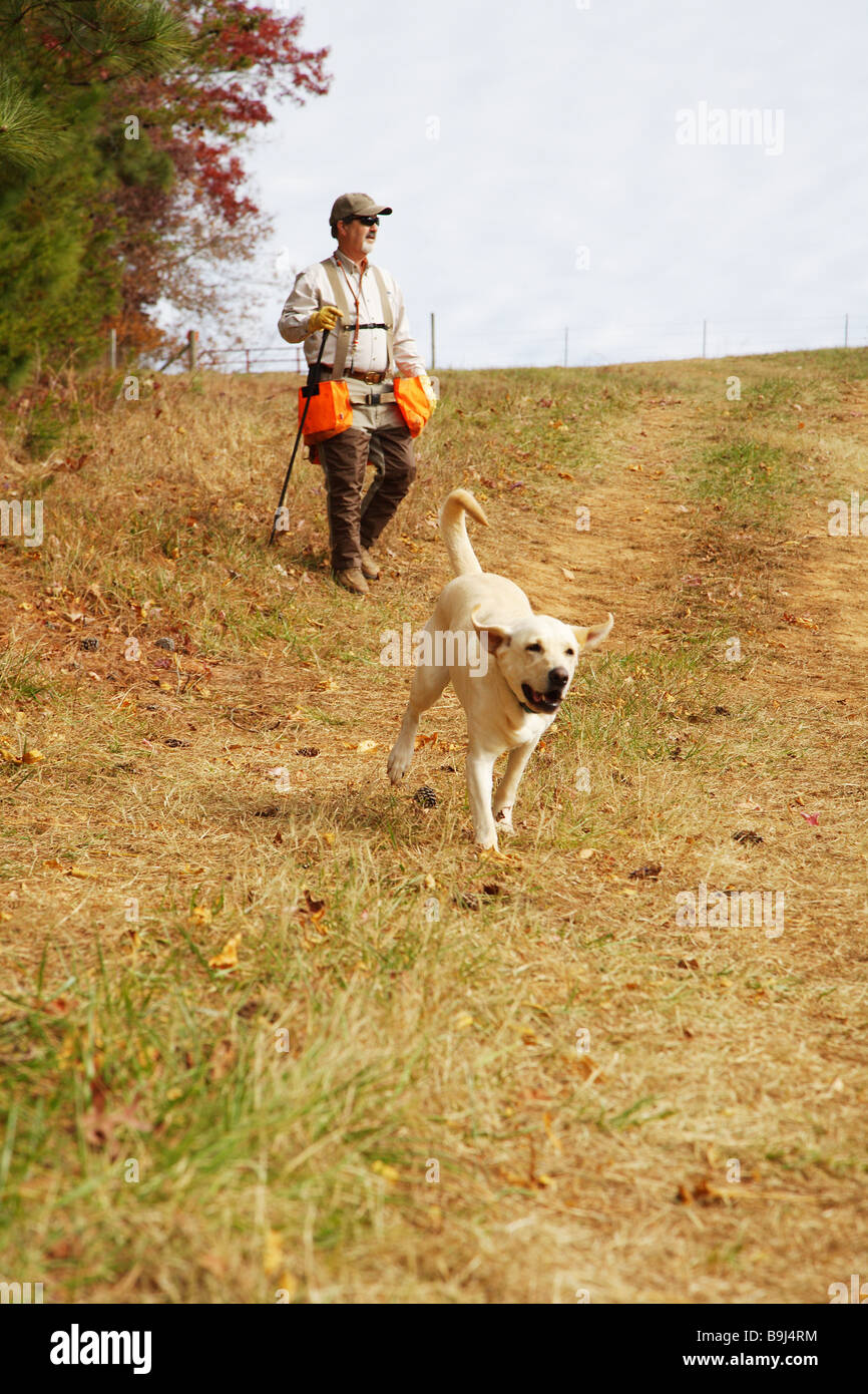 A hunting guide and a bird dog Lab in search of game Stock Photo