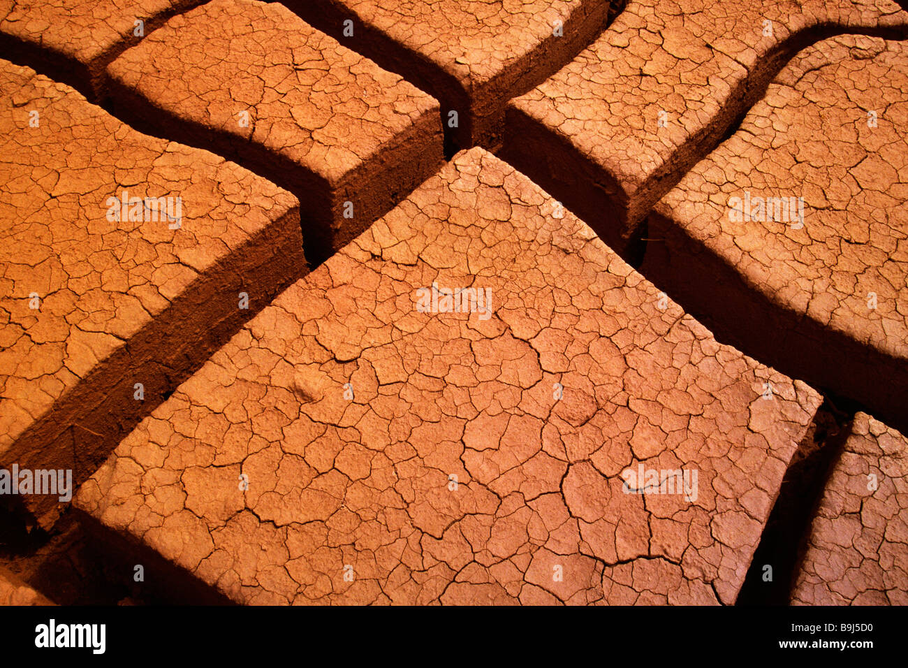 Parched earth, Salar de Atacama, Chile, South America Stock Photo