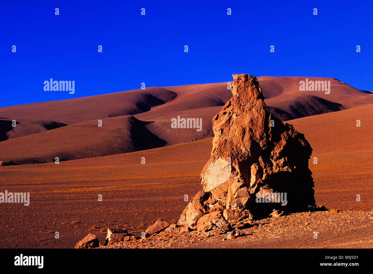Rockformation at Salar de Tara, Atacama Desert, Chile, South America Stock Photo