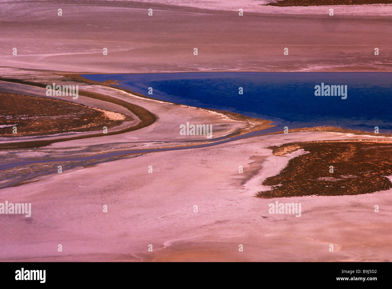 Salar de Quisquiro, Atacama Desert, Chile, Suedamerika Stock Photo
