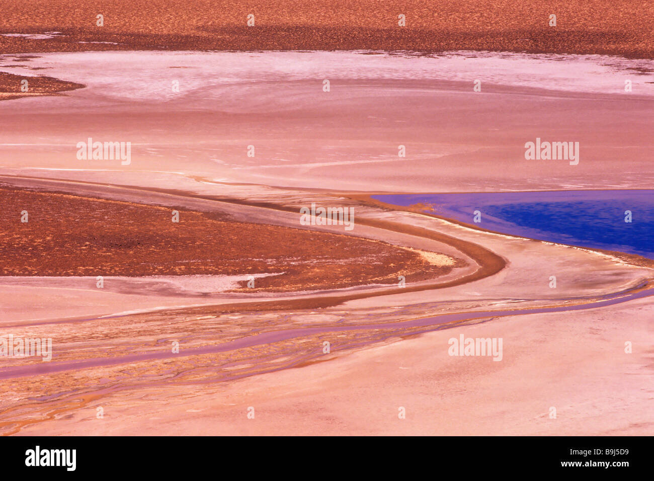 Salar de Quisquiro, Atacama Desert, Chile, Suedamerika Stock Photo