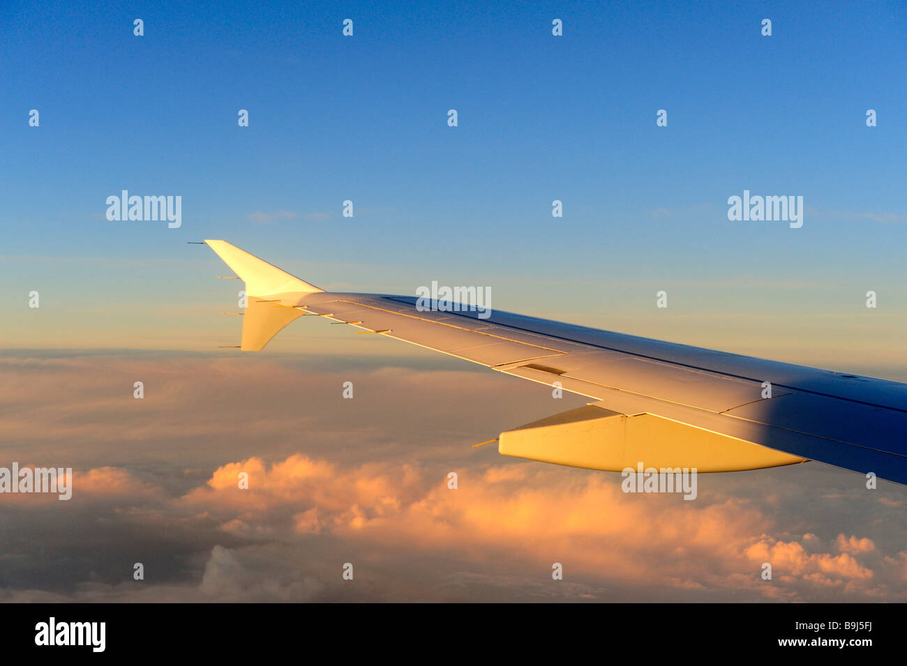 Wings, plane, Lufthansa Airbus A340-313X, above the clouds at sunrise Stock Photo