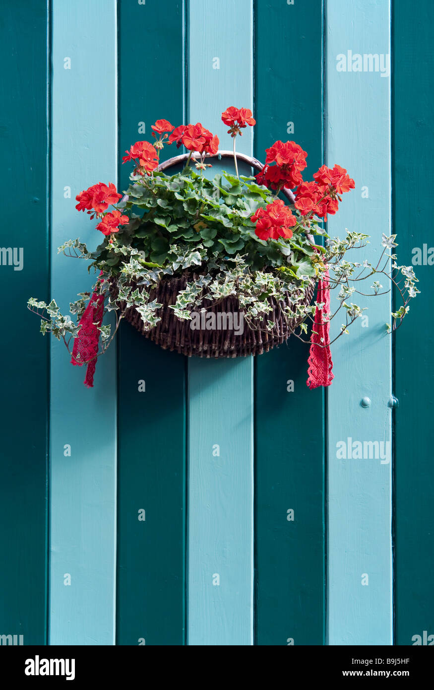 Geranium hanging basket hires stock photography and images Alamy