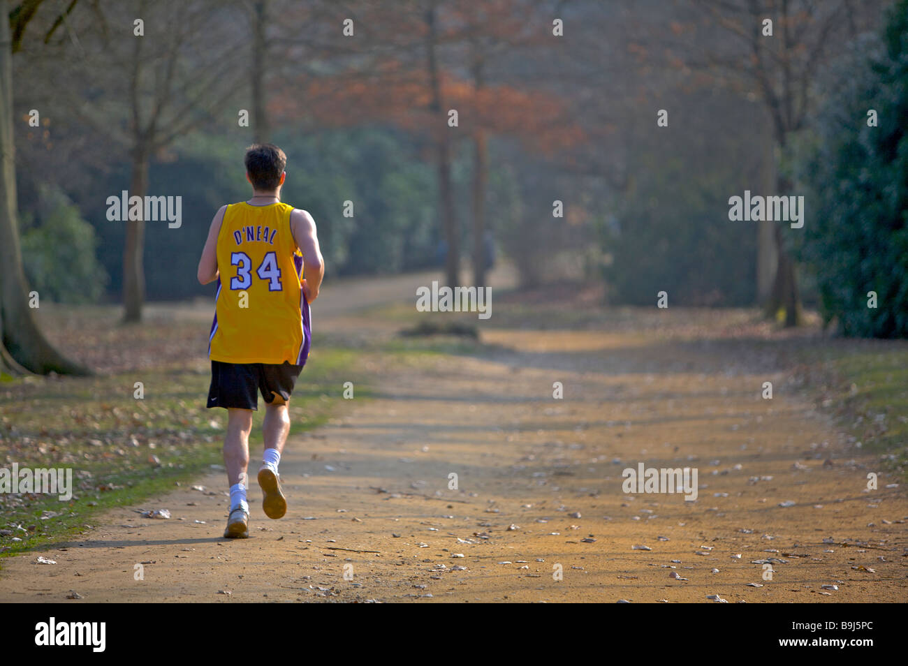 Man jogging through Great Windsor Park, Berkshire. Stock Photo