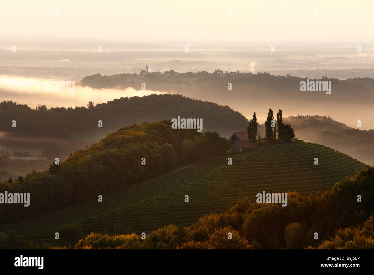 Church in Frauenberg near Leibnitz, view from Kitzeck im Sausal, morning mist, Styria, Austria, Europe Stock Photo