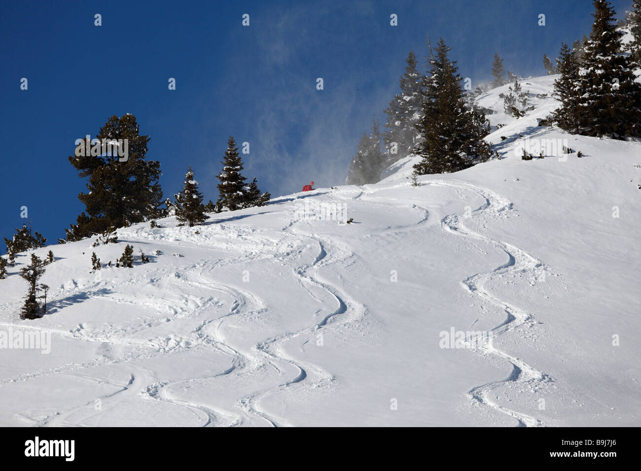 Skiing trails in deep powder snow, Rofan skiing area, Rofan Range, Tyrol, Austria, Europe Stock Photo