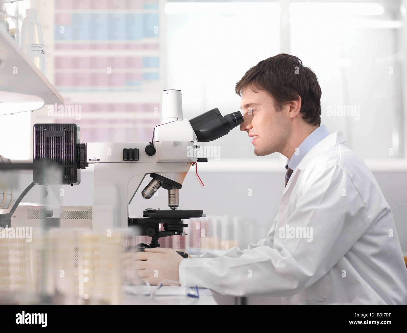 Laboratory technician with microscope Stock Photo