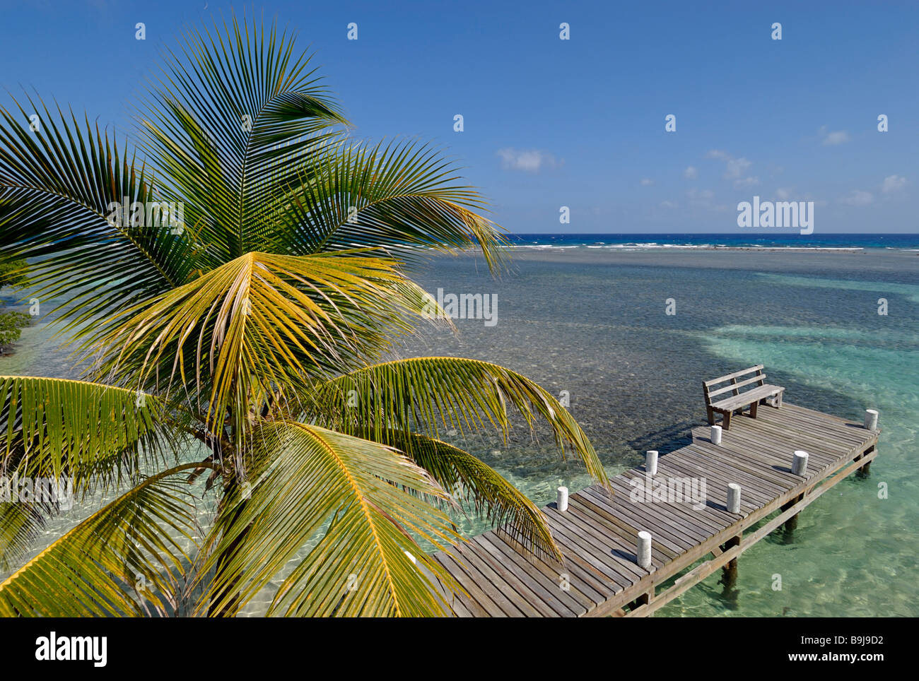 Palm trees on a bathing jetty on the South Water Caye, Caribbean atoll, Caribbean Sea, Belize, Central America Stock Photo