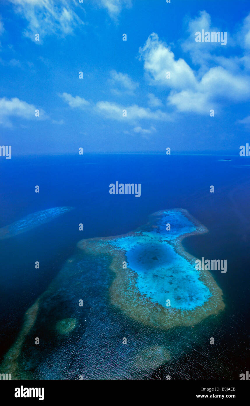 Coral reefs in the Maldives, Indian Ocean Stock Photo