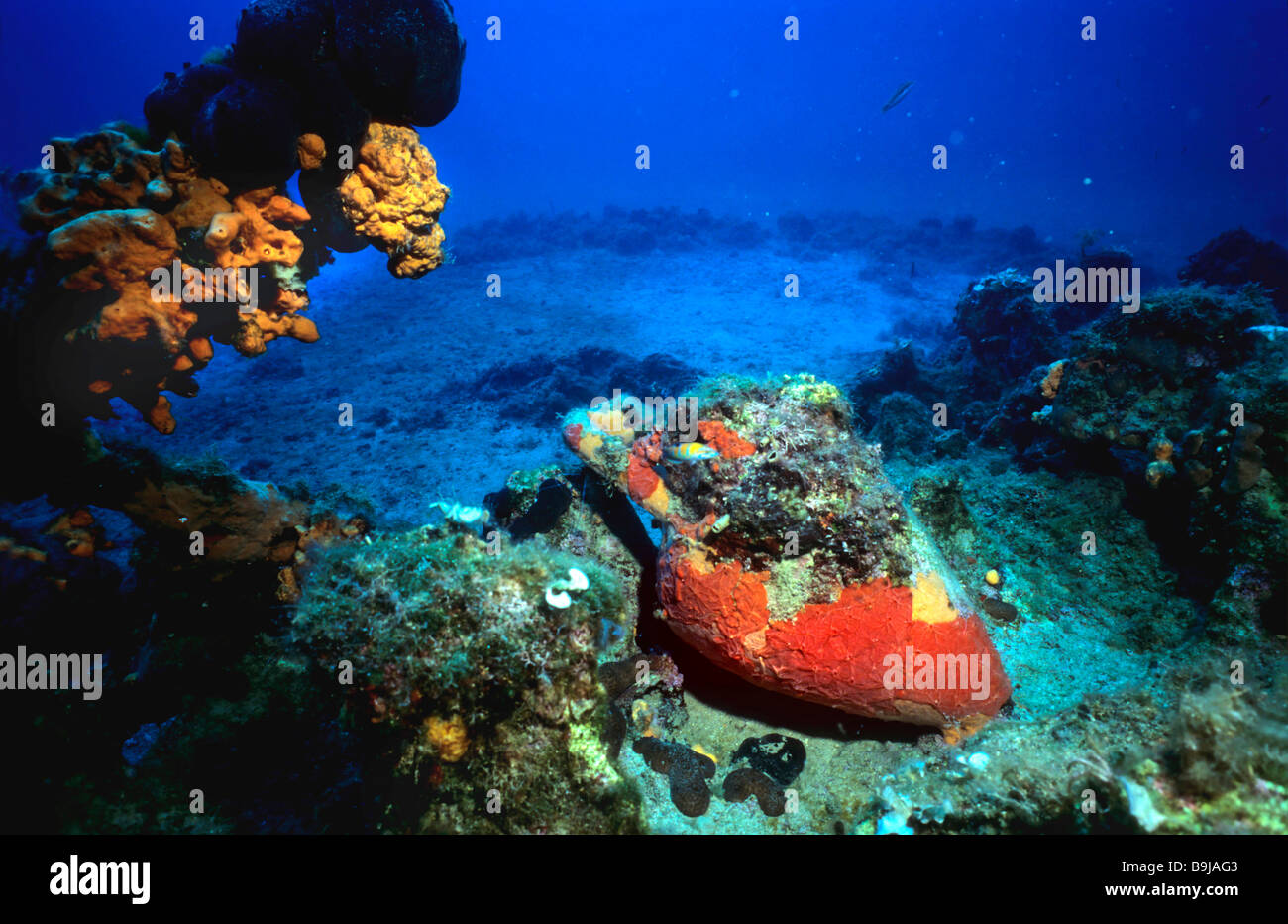 Mediterranean sea floor greece hi-res stock photography and images