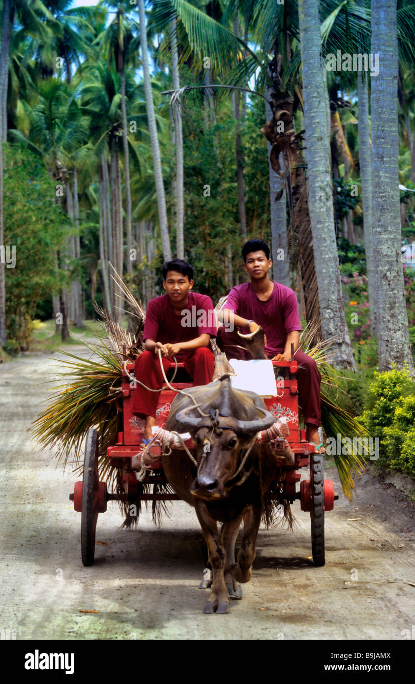Philippinos on a traditionel oxcart, Mindoro, Philippines, Southeast Asia Stock Photo