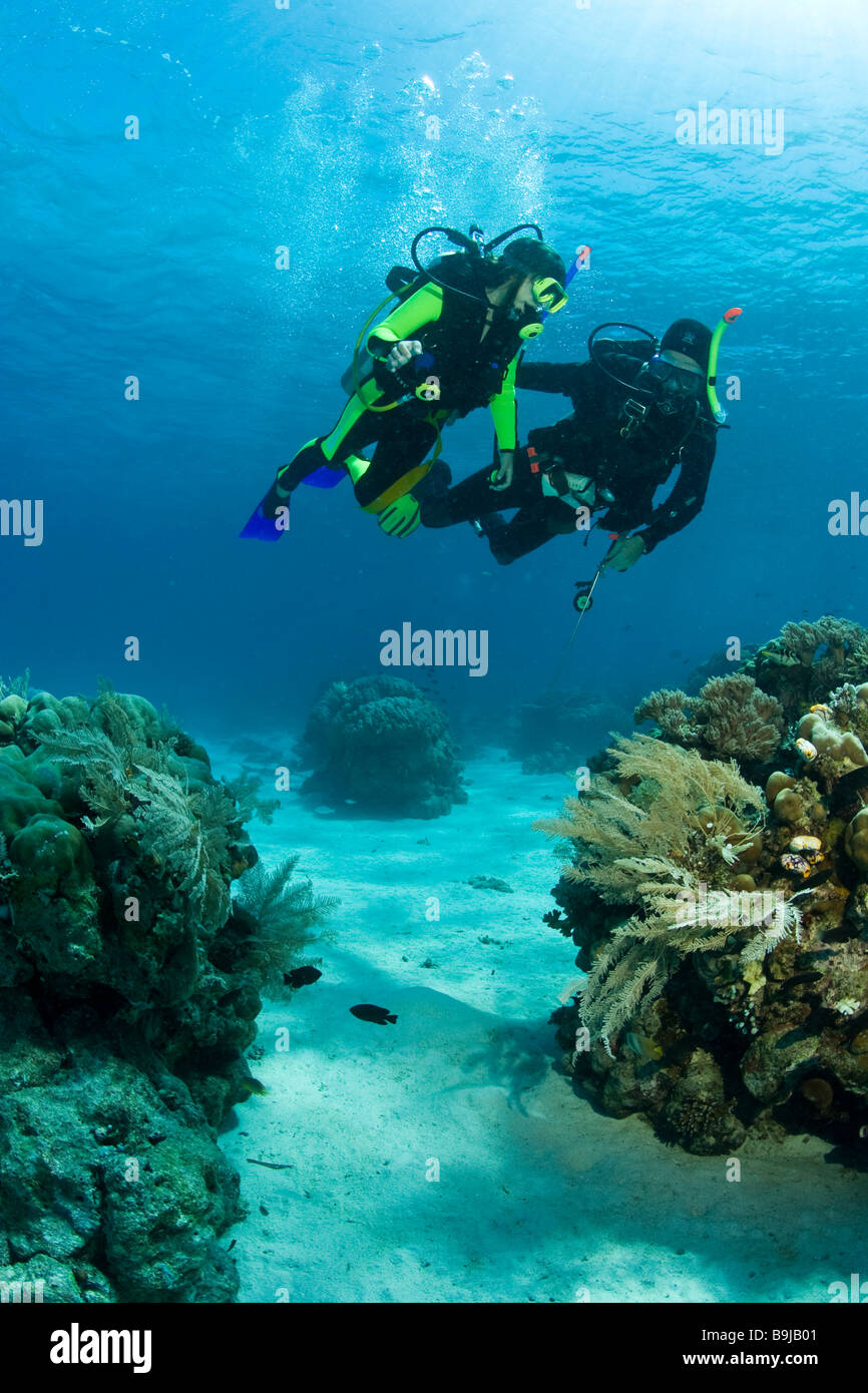 Scuba diving teacher child doing hires stock photography and images
