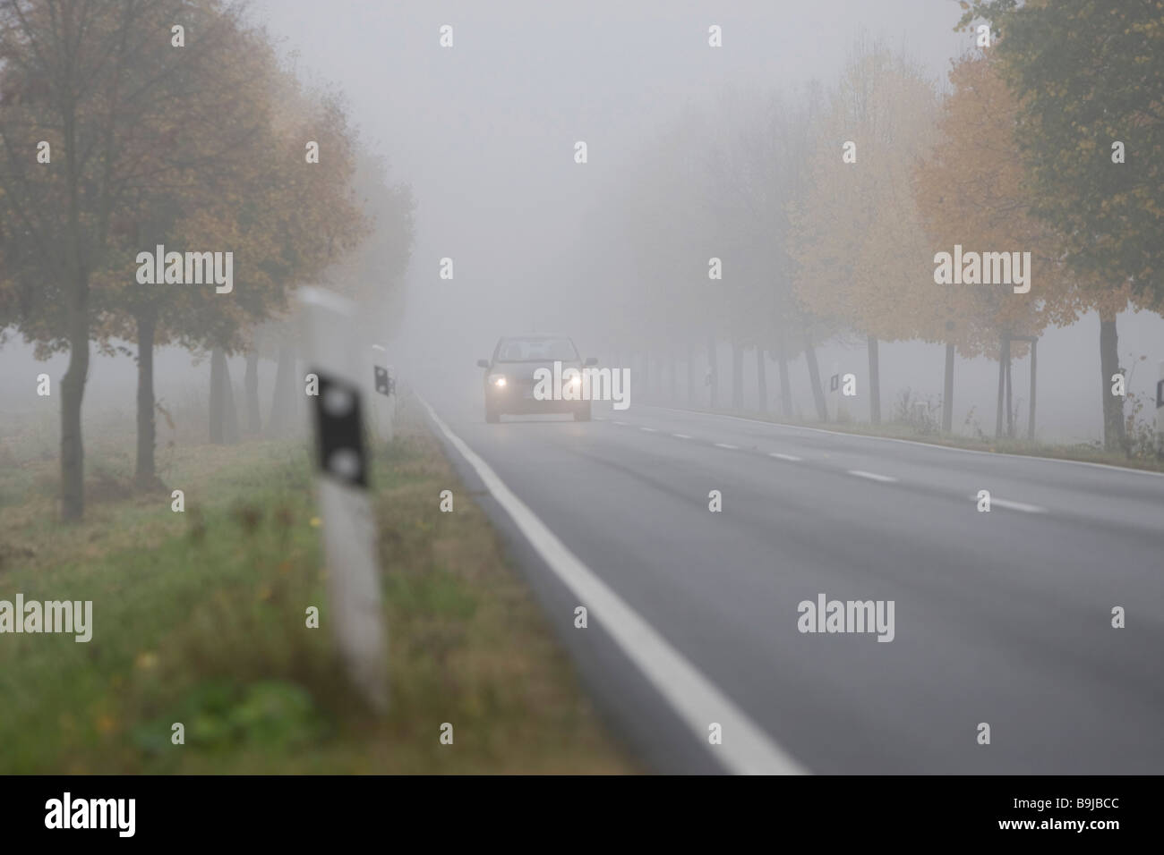 Car driving with dimmed headlights on a country road in dense fog, Hesse, Germany, Europe Stock Photo