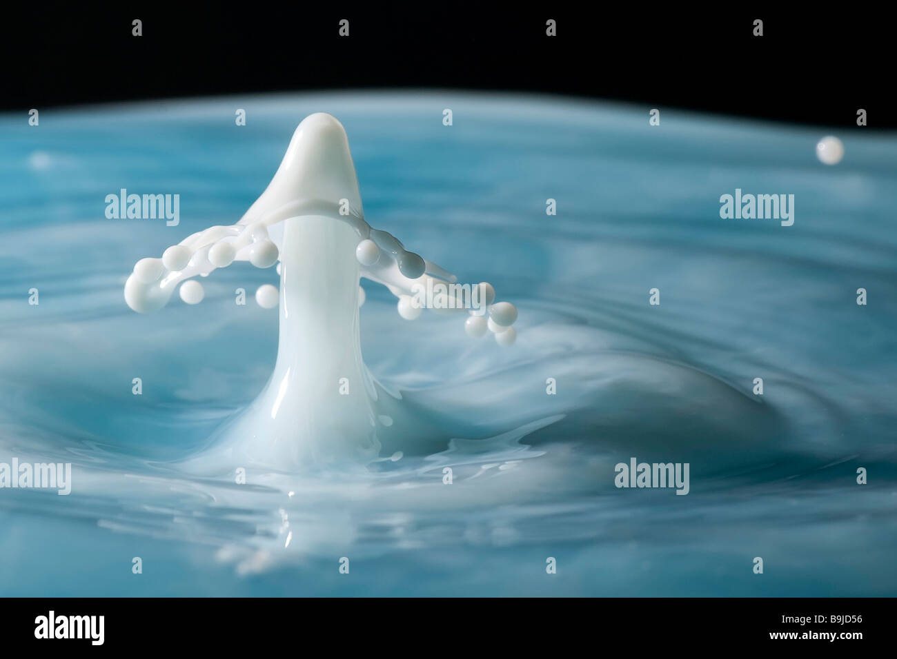 Milk dropping into blue water Stock Photo Alamy