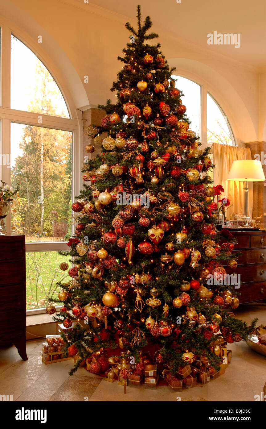 Large decorated Christmas tree, Villa Ambiente, Nuremberg, Middle Franconia, Bavaria, Germany, Europe Stock Photo