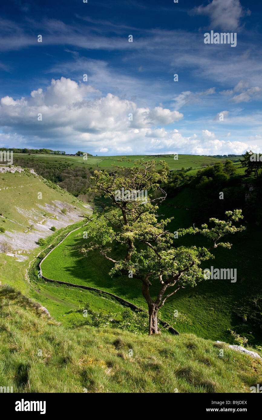 The Lathkill Dale National Nature Reserve in the Peak District National Park, Derbyshire. Photographed in May Stock Photo