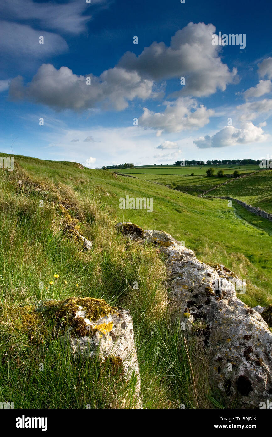 Above the Lathkill Dale National Nature Reserve in the Peak District National Park, Derbyshire. Photographed in May Stock Photo