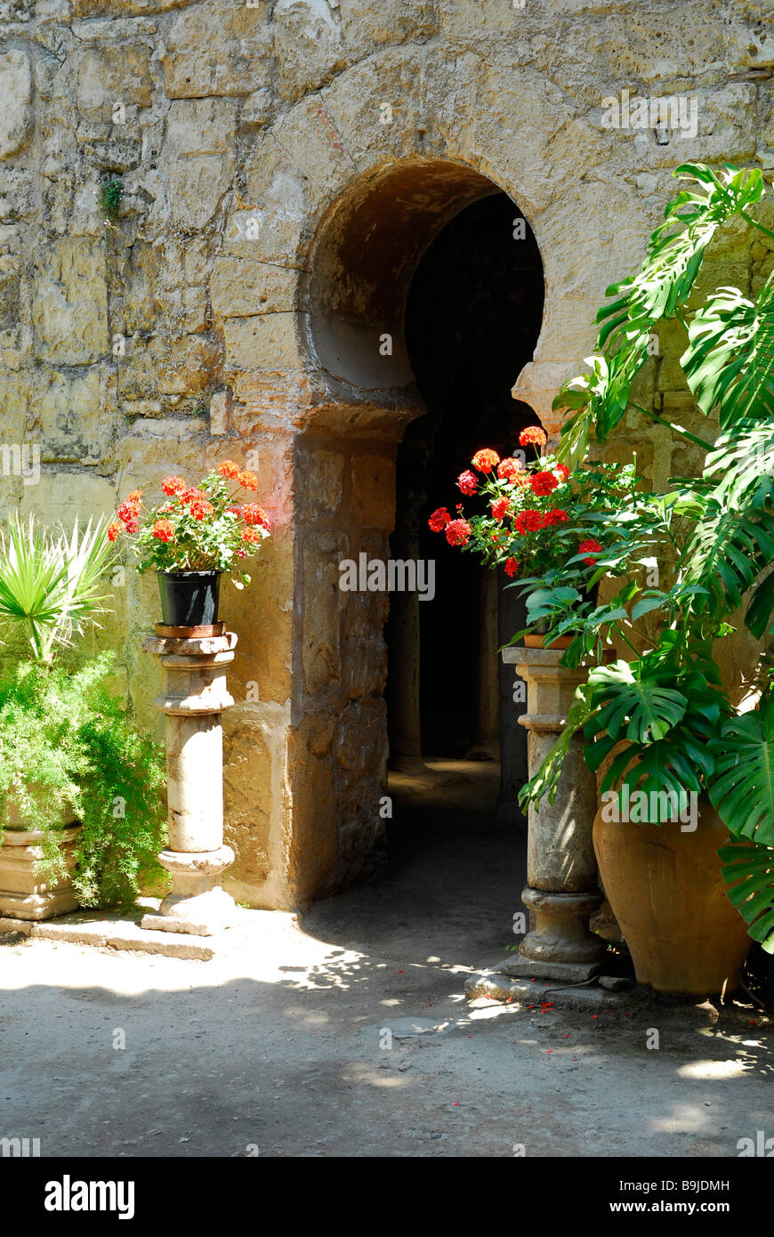Arabian baths, Banys Arabs, inner courtyard, Patio, historic city ...