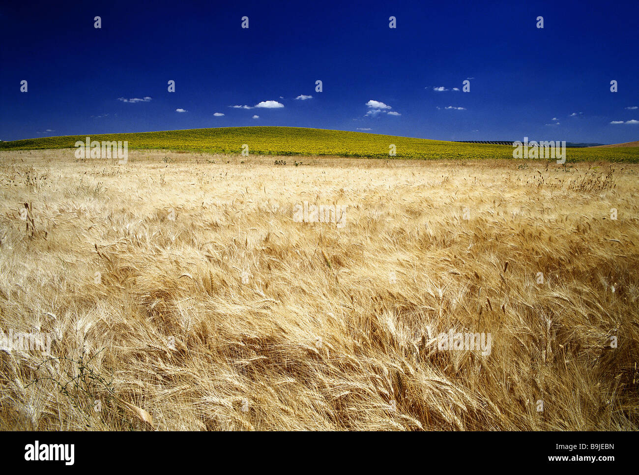 spain Castile-La Mancha field-landscape Iberian peninsula nature fields ...