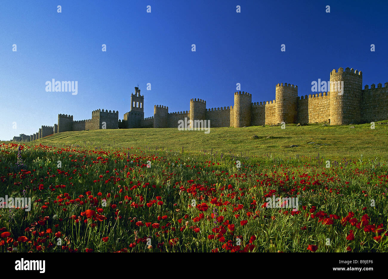 spain Castile and León Avila city wall watchtowers destination sight city castle fortress defense-wall defense-installation Stock Photo