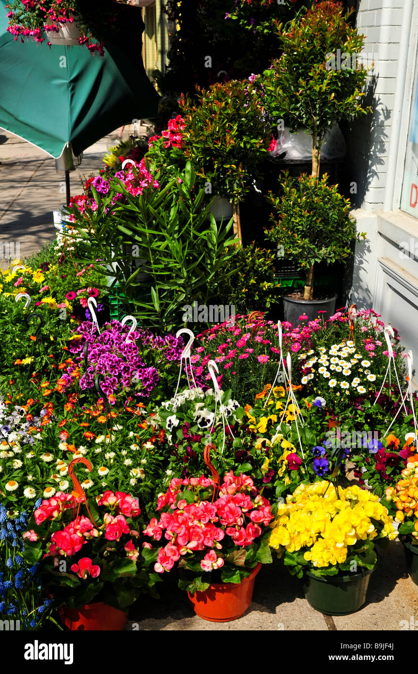 Flower baskets for sale at flower stand Stock Photo Alamy